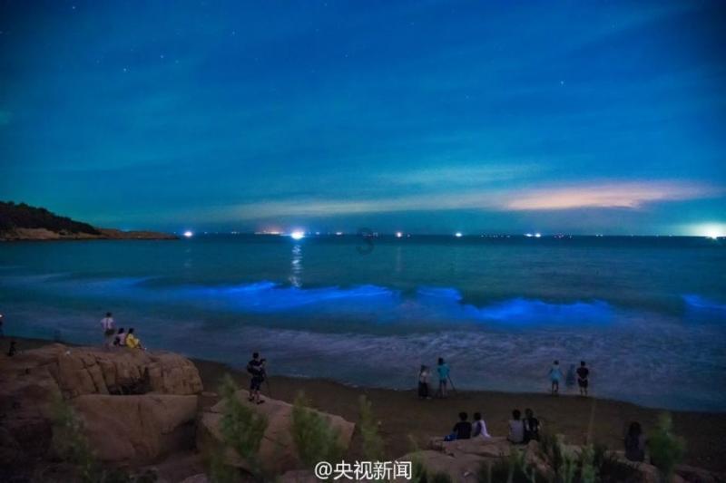 88影视