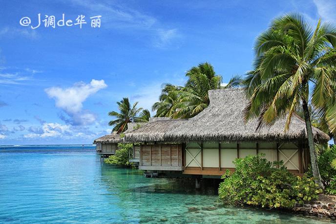 机智问答网页-解决您的问题 造梦西游ol手游紫薇仙子技能搭配推荐