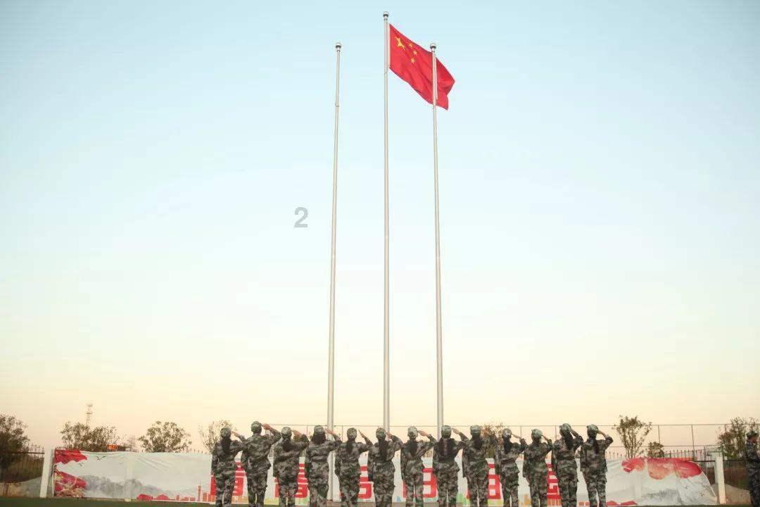 发现冷知识的月季黄叶怎么办?平台,轻松拓宽知识领域!